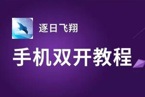 逐日飞翔挂机软件&双开软件推荐  轻松搞定逐日飞翔双开和挂机