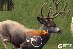 《疯狂神射手》养殖场玩法全解析
