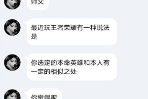 【名师出坑徒】听说本命英雄与本人相似？