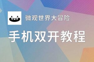 怎么双开微观世界大冒险？ 微观世界大冒险双开挂机图文全攻略