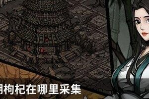 烟雨江湖枸杞在哪里采集