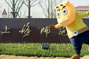 同济&上师大 哀木涕傻馒一日游