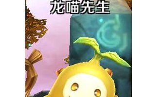 龙喵先生属性详解
