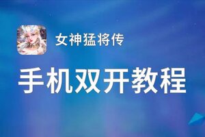 有没有女神猛将传双开软件推荐 深度解答如何双开女神猛将传