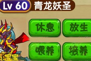 青龙秘境攻略 妖圣的培养