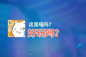 这是喵吗？好玩吗？这是喵吗？好不好玩评测