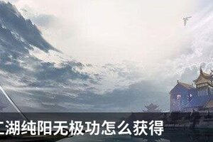 下一站江湖纯阳无极功怎么获得