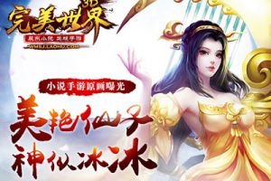 小说手游《完美世界3D》美仙子神似冰冰