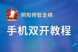 阴阳师智走棋怎么双开  阴阳师智走棋双开挂机软件推荐