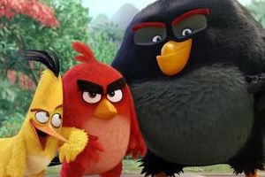 《愤怒的小鸟》最新电影剧照曝光： 预计明年7月上映