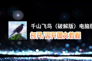 千山飞鸟（破解版）怎么双开、多开？千山飞鸟（破解版）双开助手工具下载安装教程