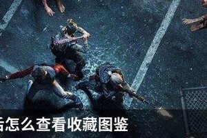 明日之后怎么查看收藏图鉴