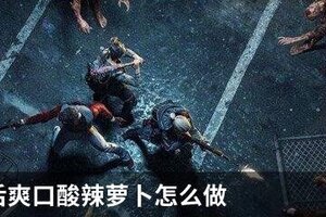 明日之后爽口酸辣萝卜怎么做