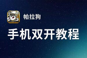 帕拉狗双开挂机软件推荐  怎么双开帕拉狗详细图文教程