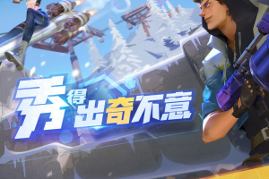 堡垒前线国际服叫什么