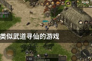 类似武道寻仙的游戏