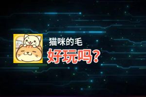 猫咪的毛好玩吗？猫咪的毛好不好玩评测