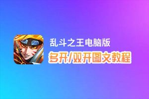 乱斗之王怎么双开、多开？乱斗之王双开助手工具下载安装教程