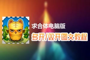 求合体怎么双开、多开？求合体双开、多开管理器使用图文教程