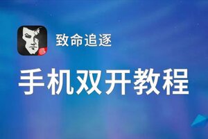 有没有致命追逐双开软件推荐 深度解答如何双开致命追逐