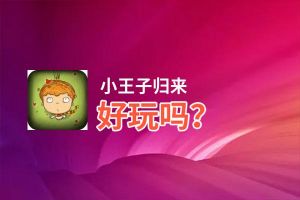 小王子归来好玩吗？小王子归来好不好玩评测
