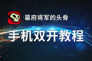 幕府将军的头骨挂机软件&双开软件推荐  轻松搞定幕府将军的头骨双开和挂机