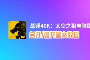 战锤40K：太空之狼怎么双开、多开？战锤40K：太空之狼双开助手工具下载安装教程