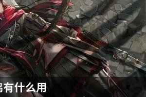 战双共鸣有什么用
