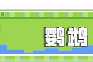 《我的世界》舞动青春 现在开始！