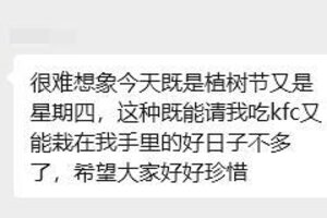 《山海幻境》礼包码放送丨春风拂山海，植树节快乐~