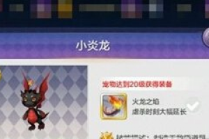S级宠物小炎龙组合分析
