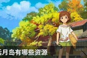 小森生活月岛有哪些资源