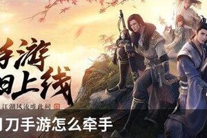天涯明月刀手游怎么拉手