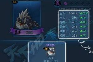 元魂系统成长攻略详解