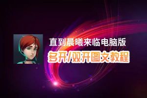 直到晨曦来临怎么双开、多开？直到晨曦来临双开助手工具下载安装教程