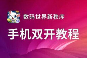 数码世界新秩序如何双开 2021最新双开神器来袭