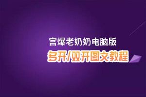 宫爆老奶奶怎么双开、多开？宫爆老奶奶双开助手工具下载安装教程