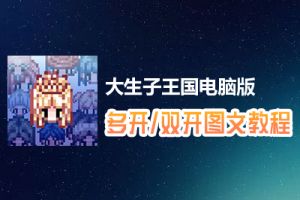 大生子王国怎么双开、多开？大生子王国双开、多开管理器使用图文教程