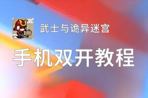 武士与诡异迷宫怎么双开  武士与诡异迷宫双开挂机软件推荐