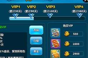 VIP系统介绍