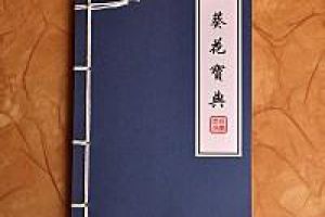 新手快速拿奖励技巧
