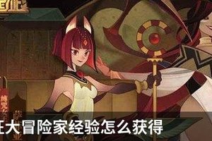 剑与远征大冒险家经验怎么获得