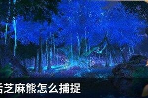 小森生活芝麻熊怎么捕捉