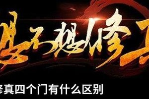 想不想修真四个门有什么区别