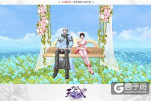寻三生之缘《九州天空城3D》夫妻任务详解