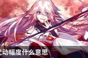 崩坏三扰动幅度什么意思
