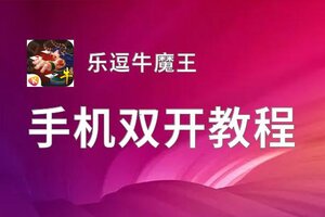 乐逗牛魔王如何双开 2020最新双开神器来袭