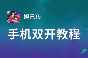 妲己传双开挂机软件盘点 2021最新免费妲己传双开挂机神器推荐