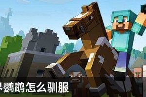 我的世界鹦鹉怎么驯服