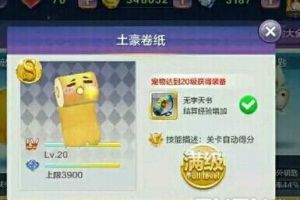 宠物排行搭配选择攻略